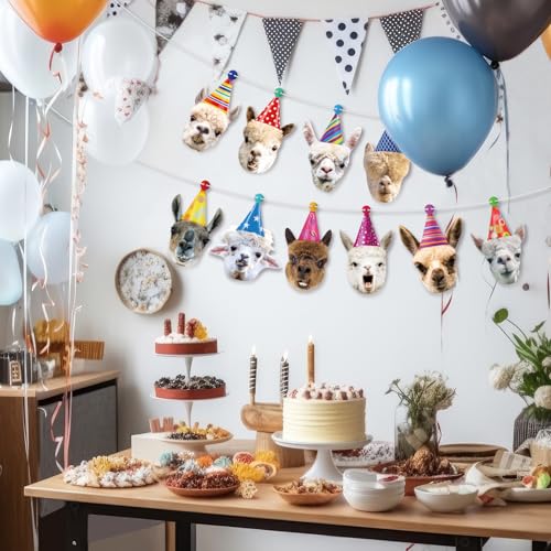 Image of Hooqict Llama Birthday Banner Garland Funny Happy Birthday Decorations Party Banner for Kids Adults Animal Birthday Party Decorations Supplies