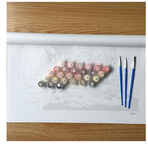 Amiiba Malen Nach Zahlen Kit „Fire Guitar“ – 40,6 X 50,8 Cm Acrylmalerei Mit Oder Ohne Rahmen