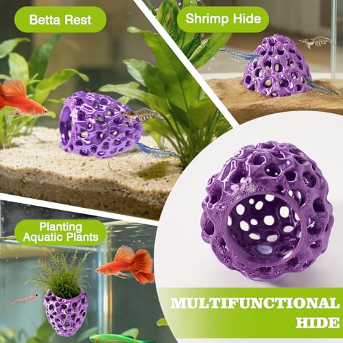 Image of Shrimp Dome Hide, Shrimp Hides for Aquarium, Betta Fish Hideout with Suction Cup, Betta Habitat Tank Ornament Accessories, Aquarium Decor for Small Fish Guppy Hiding Resting (Purple)