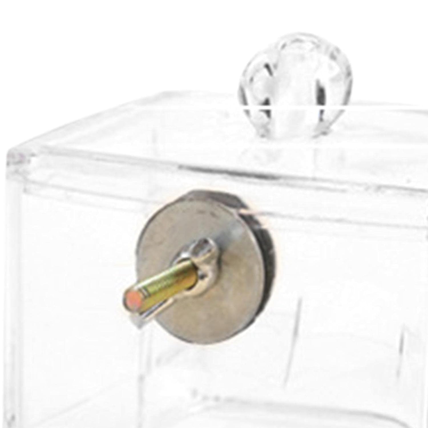 Diwali sale LOOM TREE® 3xPortable Rutin Hen Feeder Acrylic for Poultry Farm Feeding Equipment with Screws | Yard Poultry Provides Diwali sale LOOM TREE® 3xPortable Rutin Hen Feeder Acrylic for Poultry Farm Feeding Equipment with Screws | Yard Poultry Provides