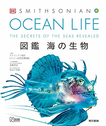 珍しい Ocean Life 海の生物 図鑑 情報誌 Www Noem At