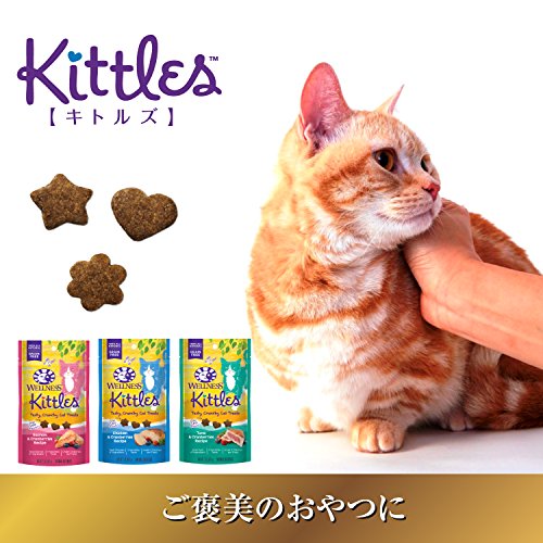 猫用おやつおすすめ27選【無添加タイプも】安全で美味しい