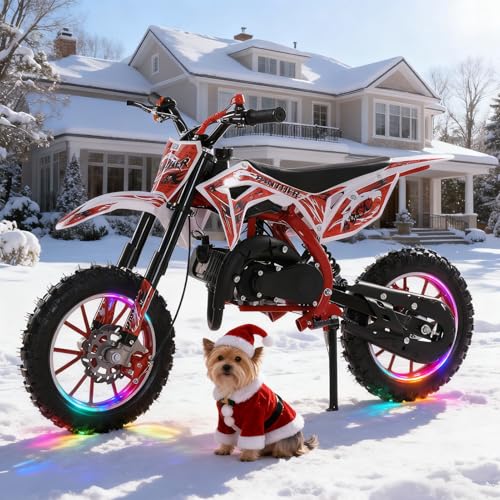 50CC 2-Stroke Kids Dirt Bike
