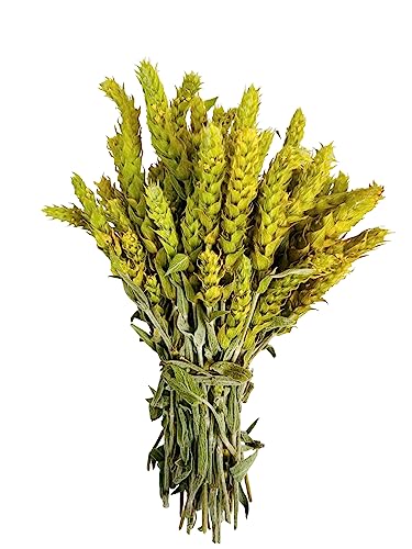 Tè di Montagna Greco Sideritis Scardica 220g