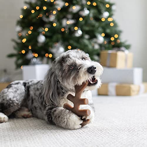 Benebone Medium Holiday 4-Pack Dog Chew Toys for Aggressive Chewers, Made in USA, 60lbs and Under - Image 6