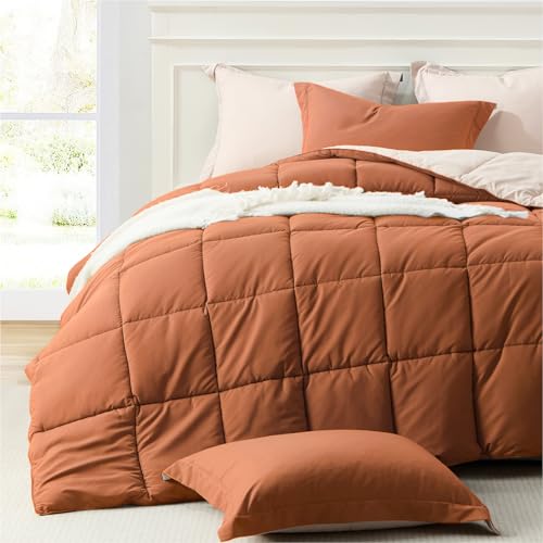 Homelike Moment Twin Comforter Set - Burnt Orange/Beige