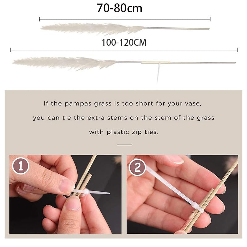Pampas Grass Grande Beige Natural Hierba Decorativa 3pcs miniatura 6