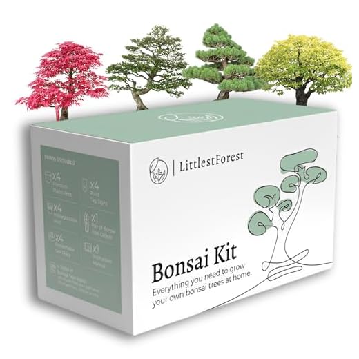 LittlestForest - Kit Bonsai para Principantes - Todo lo que necesitas para cultivar tus propias plantas bonsais naturales interior y exterior. - Semillas y herramientas bonsai