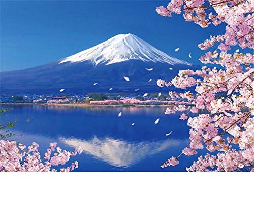 Nicole Knupfer Kit fai da te per diamond painting