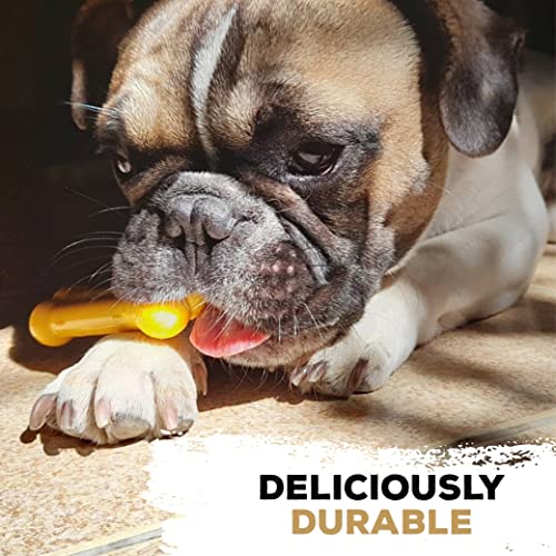 TastyBone Nylon Dog Chew Toy for Toy Dogs (Peanut Butter), Indestructible for Aggressive Chewers Everlasting Flavour - Image 3