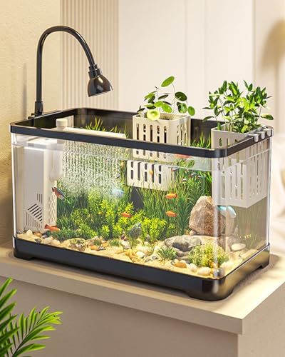 Fish Tank Kit with Filter Plastic Aquarium with Light & Detachable Cover Landscape Fish Tank Starter Set for Turtles Crabs Fishes Amphibians (L)