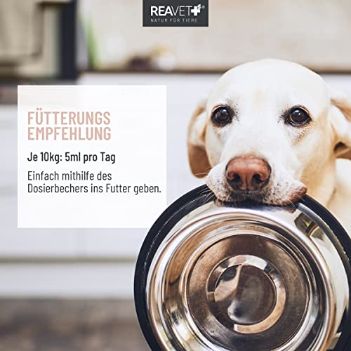 ReaVET Darmöl für Hunde 250ml I Verdauung, Darmflora I Sekundierend bei Verstopfung und Verdauungsproblemen, kein Remedium und Laxans