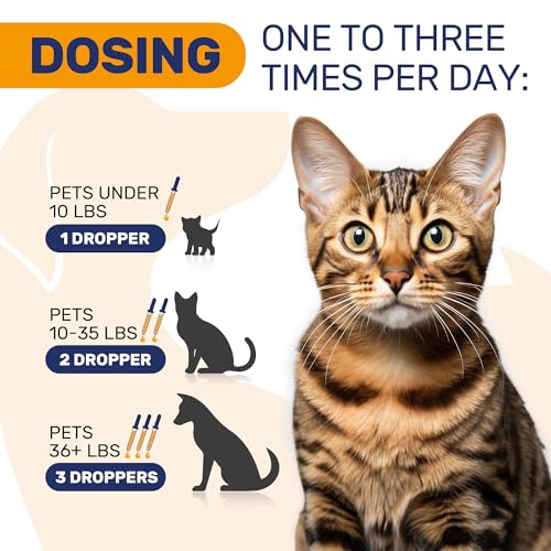 Dog Allergy Relief for Puppies & Adult Ones – Cat & Dog Itching Skin Relief Helps with Irritation & Supports General Well-Being – Cat Itchy Skin Treatment with Organic Composition – 2 Oz Bottle