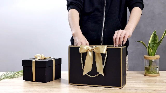 2 sacchetti regalo di carta con 2 fazzoletti e 2 biglietti, sacchetti