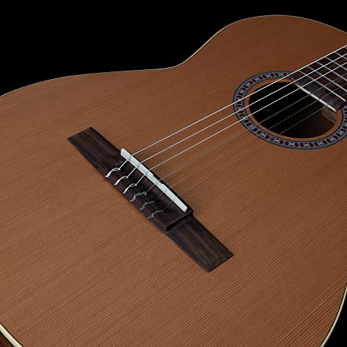 Godin 051830 6 String Acoustic Guitar thumb #2