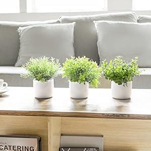 Mkono Fake Plants in Ceramic Pot, 3 Pack Potted Artificial Eucalyptus Plants for Home Decor Indoor Faux Green Rosemary for Desk Shelf Coffee Centerpiece Bathroom Office Decor Mkono Fake Plants in Ceramic Pot 3 Pack Potted Artificial Eucalyptus Plants for Home Decor Indoor Faux Green Rosemary for Desk Shelf Coffee Centerpiece Bathroom Office Decor