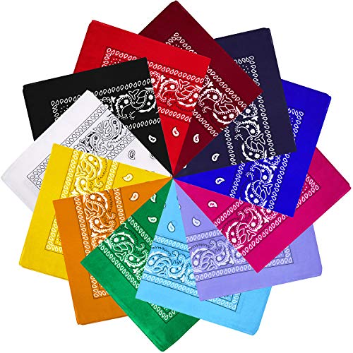 12 Pieces Paisley Bandanas Cowboy Bandanas Unisex Print Head Wrap Scarf Wristband (Multicolor)