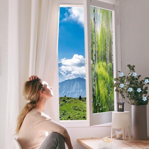 Vinilo decorativo película para ventana 17.7x23.6 pulgadas miniatura 5