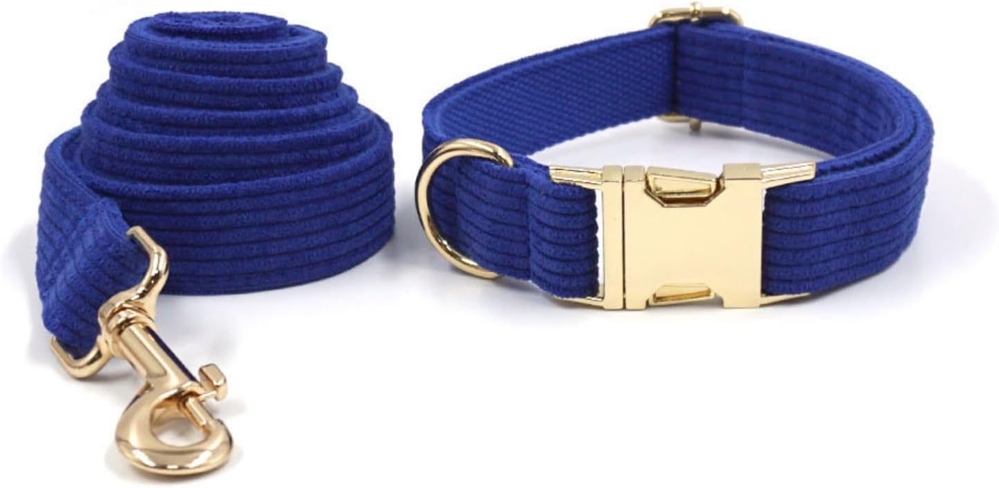 Hundehalsband, Set aus Halsband und Leine für Hunde mit Kotbeutelhalter, für weich, verstellbar, strapazierfähiger, drehbarer Metallknopf (Blau, M)