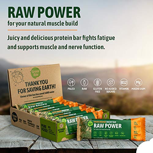 Raw Power Cocoa Orange Cricket Bar, Fit and Active Protein Bars, Nutritious Paleo Diet Snacks, Meal Replacement Bars with Cricket Protein, Energy Bar for Post Workout, Pack of 8 - Green Bite - Image 4