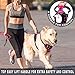 BARKBAY No Pull Pet Harness  Dog Harness Adjustable Outdoor Pet Vest 3M Reflective Oxford Material Vest for pink Dogs Easy Control for Small Medium Large Dogs (XL)