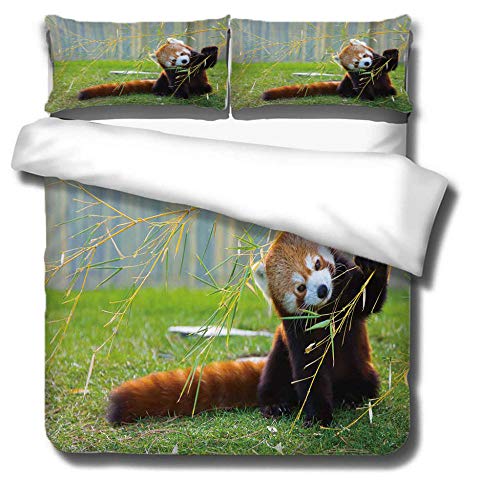 KLBPL Housse De Couette 3 Pièces 140X200Cm Panda Roux Animal Ensemble De Literie 3 Pièces 3D comme Cadeau pour Les Enfants (1 Housse De Couette + 2 Taies d'oreiller) Cover