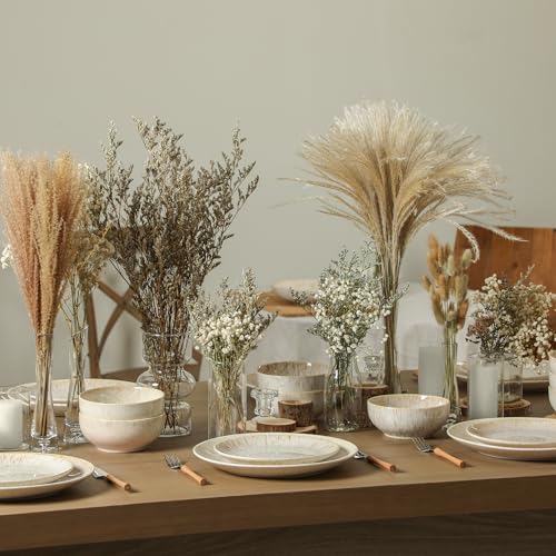 Image of Stone Lain Riley 12-Piece Dinnerware Set Stoneware, Plates and Bowls Set, Dishwasher and Microwave Safe, Dish Set for 4, Sand