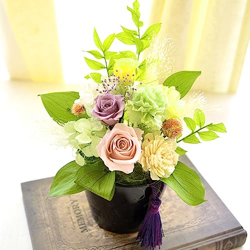 vU[uht[  t  䋟 ~j _ @ @v 킢