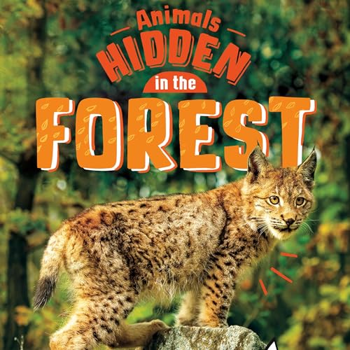 Animals Hidden in the Forest by Jessica Rusick episode artwork