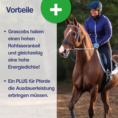 Gebrüder Goller 25kg Grascobs als Pferdefutter - Staubfreier Heuersatz mit natürlichen Inhaltsstoffen & hohem Rohfaseranteil - Futterpellets schonend Warmluftgetrocknet - direkt aus Bayern