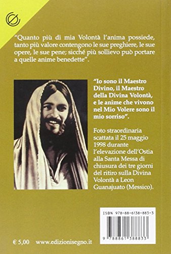 Libro di cielo. 33 santi del cielo, anime purganti...