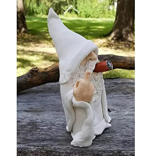 Tirifer Garden Gnome, Wizard Gnome 3D Dwarves, Polyresin Outdoor Sculpture Middle Finger Gnome Statue Garden Figurine Art Garden Decoration For Lawn Yard Balcony Porch Patio #TOP1