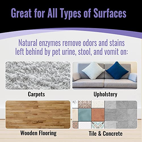Image of Pet Odor & Stain Eraser - Urine Enzyme Carpet Cleaner, Lavender, 32 oz | Eliminates Odors at the Source - enzymes lift dog & cat urine from carpets, rugs & upholstery for a fresh lavender finish