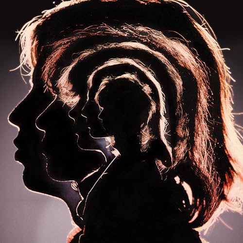 Hot Rocks 1964-1971[180g 2 LP]