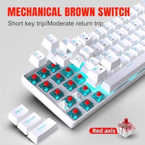 Teclado Gamer 60% Bewinnero7ma5uw2sd Con Cable miniatura 3