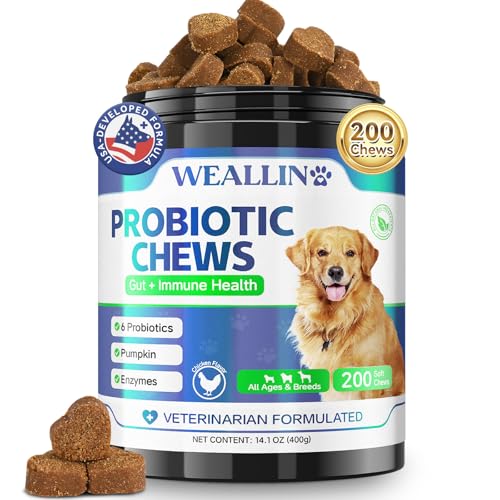 200 PCS Probiotics for Dogs - Dog Probiotic Chews for Gut Health,...