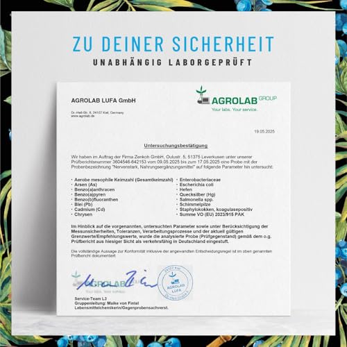 Vitamin B Komplex (B1-B12) mit 3 Kofaktoren aktiv - Alle 8- B Vitamine - B Vitamin Komplex hochdosiert mit Cofaktoren - Nervenstark *