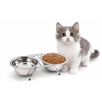 RvPaws Pets 200ML Double Elevated Food and Water Stand Bowls Dinner Bowl for cat and Puppy