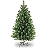 National tree company artificial full christmas tree green north valley spruce includes stand 4 feet  urban country home decor