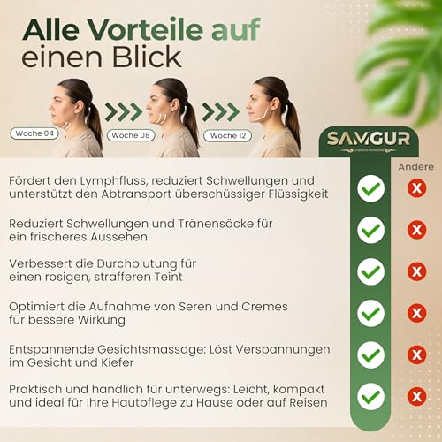 2 Stück hochwertige lymphatische Gesichtsbürste Lymphdrainage Bürste Gesicht Lymphbürste für Gesichtsmassage Massagebürste Alpenfaser Face Brush Massager Trockenbürste mit Naturborsten