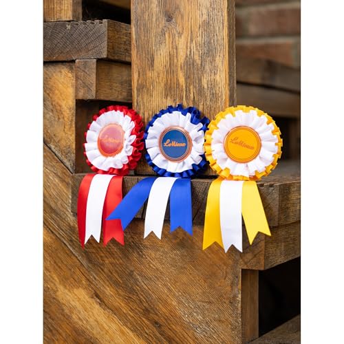 LeMieux Hobby Horse Rosette Pack - Set of Three Satin Winner Rosettes - Congratulate Your Hobby Horse - Suitable for Ages 3+