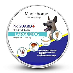 Magichome Collar Antiparasitario para Perros contra Pulgas, Garrapatas y Mosquitos, Gris
