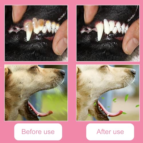 iCovalescent 10 Stück Zahnbürste Hund, 360º Hunde Finger Zahnbürste Katze, wiederverwendbar Silikon Haustiere Zähne Reinigung Zahnbürste Kit für Hunde, Katzen & Kleine Haustiere Zahnpflege(5cm)