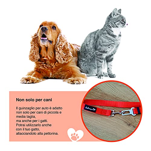 Cintura Sicurezza Cani Auto Nuovo Modello 2022