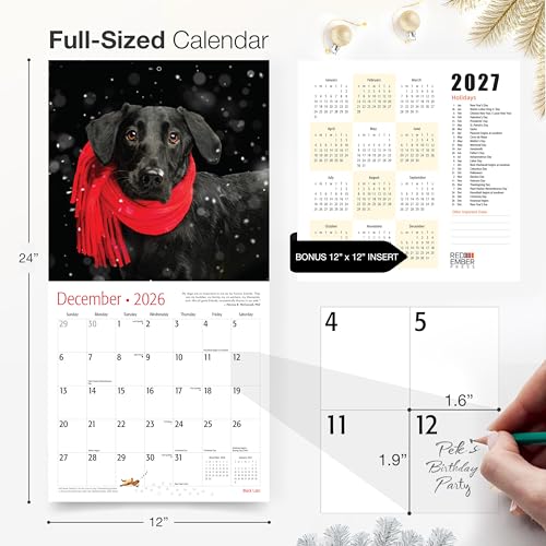 Image of RED EMBER Black Labs 2026 Wall Calendar 12 Month | 12 inch x 24 inch Open | Thick & Sturdy Paper | Giftable| Cute Labrador Retriever Puppy Dog Calendar 2026