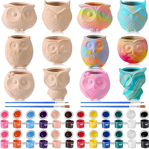 Dandat 12 Pcs Bisque DIY Ceramic Owl Succulent Pots Paint Your Own Ceramic Succulent Planters with 2 Set Paints Paintable Owl Ceramic Flowerpots with Drainage Hole for School Classroom Kids Craft