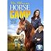 Horse Camp