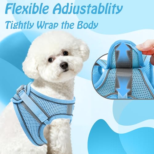 AIITLE No Pull Hundegeschirr, Step in einstellbares Hundegeschirr mit gepolsterter Weste, Hundeleine mit weichem gepolstertem Griff, leicht anzulegen für kleine und mittlere Hunde Reines Blau S