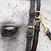 Billy Royal Arabian Training Bridle for Horses | 5/8