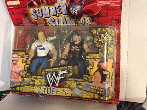 WF Summer Slam '99 2 Tuff 5 B.A. Billy Gunn Road Dog Jesse James